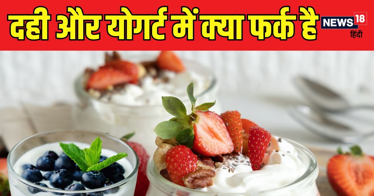 International Frozen Yogurt Day: योगर्ट और दही को एक चीज तो नहीं समझते न आप? हड्डियां और गट हेल्थ बनाए मजबूत, जानें इसके जबरदस्‍त फायदे