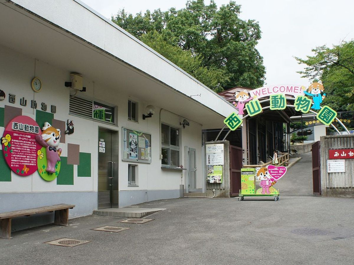 Japan zoo ban on single men, जापान चिड़ियाघर अकेले पुरुषों पर प्रतिबंध, gender discrimination, लिंग भेदभाव, zoo safety measures, चिड़ियाघर सुरक्षा उपाय, interactive zoo, इंटरैक्टिव चिड़ियाघर, weird news, bizarre news, shocking news, world, अजब गजब, अजीबोगरीब खबर, जरा हटके,