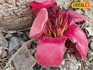 मिल गया बिना खर्चे का ब्यूटी सीक्रेट, चुटकियों में चेहरे पर लाएं कुदरती ग्लो!