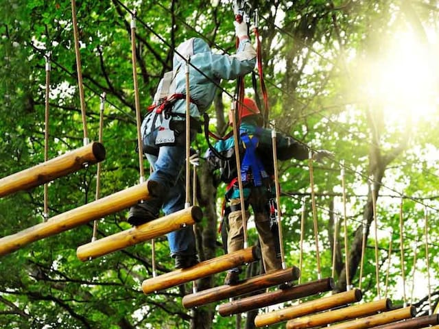 Adventure and Wildlife are fond of? This place of Maharashtra is perfect for you Adventure and Wildlife are fond of? This place of Maharashtra is perfect for you