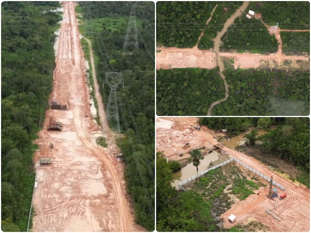 ये कैसा जलवायु सम्मेलन! हाईवे बनाने के लिए अमेज़न के हजारों एकड़ जंगल का सफाया