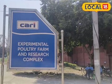 CARI