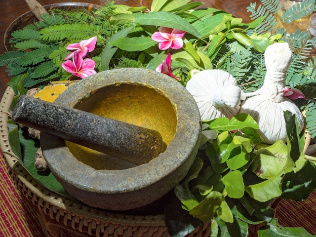 Ayurveda-medicine-2025-03-24233c833a43ced9cde2c313eac55e0d.jpg?impolicy=website&width=640&height=480