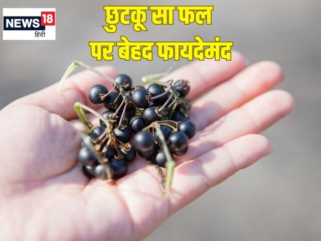 ये छुटकू सा फल है बड़ा ताकतवर, गुणों की खान, खाते ही 1 घंटे में बुखार हो कम