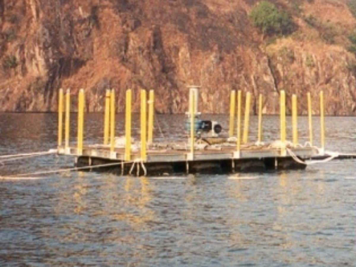 Weird lake, amazing lake, Lake Nyos, नायोस झील, Natural disaster, कुदरती हादसा, Carbon dioxide, कार्बनडाइऑक्साइड, Cameroon, कैमरून, weird news, bizarre news, shocking news, world, अजब गजब, अजीबोगरीब खबर, जरा हटके,
