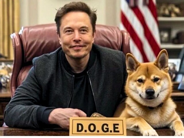 IT sector from Allen Musk's dog started sweating, is the new crisis?