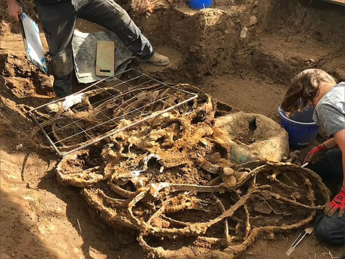 England-Treasure-Found-Treasure-Hunting-Melsonby-Hoard-Iron-Age-Khajana-mila-Jameen-ke-niche-khajana-2025-03-f401f41dc0985eb1db769297c65c918b The person was digging the land, then got the 2000 year old treasure, scientist also surprised to see!