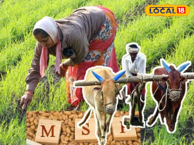 MP News एमपी में किसानों की बल्ले-बल्ले, सीएम मोहन यादव ने दिया तोहफा MP News एमपी में किसानों की बल्ले-बल्ले, सीएम मोहन यादव ने दिया तोहफा