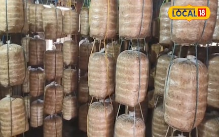 ये महिलाएं कमा रही हैं धांसू इनकम, तैयार कर रही हैं प्रोटीन का खजाना, जानें