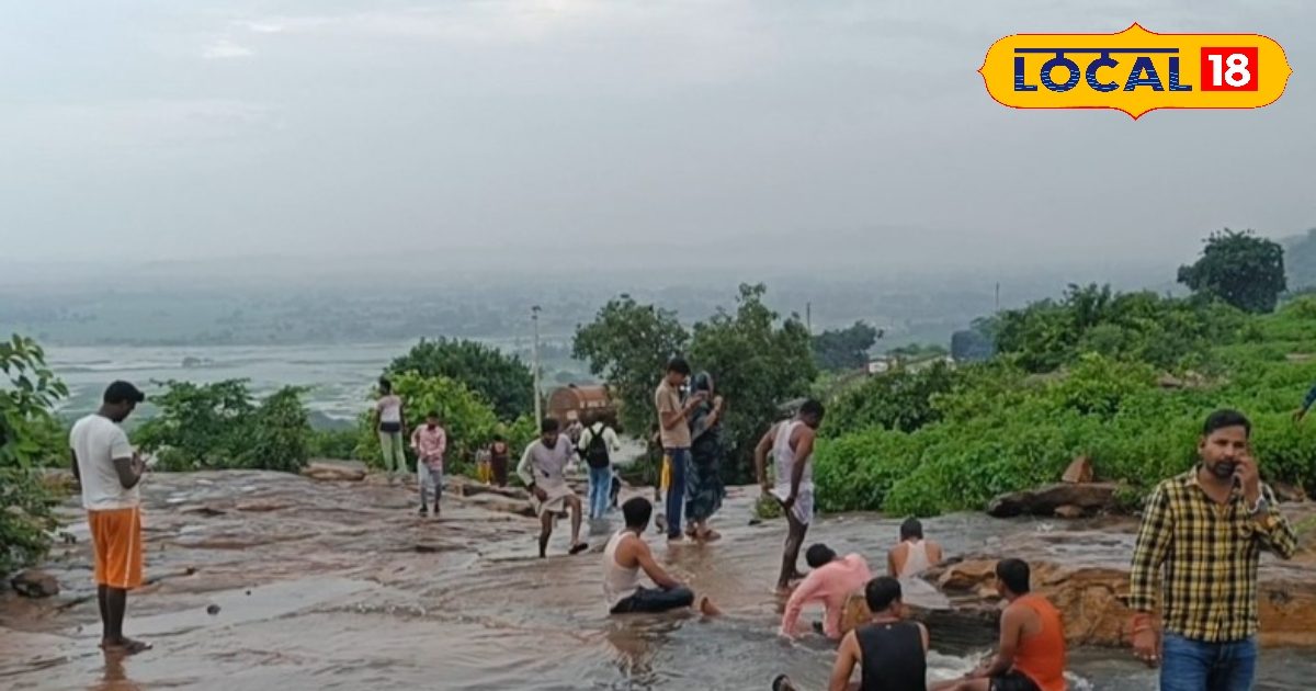 सोनभद्र में पौधों की देखभाल की कमी से ज़्यादातर पौधे सूख रहे, 'सीएम डैशबोर्ड'