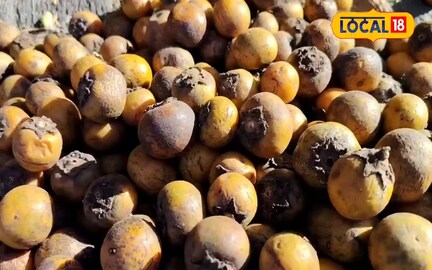 छत्तीसगढ़