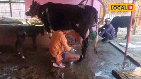 Milch