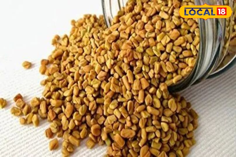 Fenugreek seeds Fenugreek seeds
