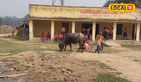 Maharajganj News: लो कर लो बात…इस स्कूल में भैंस-बकरियों के साथ बैठकर पढ़ते हैं बच्चे! आखिर क्या है वजह? Maharajganj News: लो कर लो बात…इस स्कूल में भैंस-बकरियों के साथ बैठकर पढ़ते हैं बच्चे! आखिर क्या है वजह?