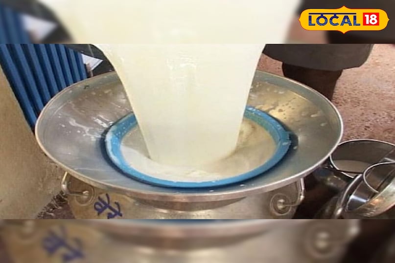 amazing tips to identify milk purity, adulterated milk, doodh asli hai ye nakli aise pahachan karen, आपके घर आ रहा दूध असली है या नकली, घर बैठे ऐसे कीजिए पहचान, असली दूध, नकली दूध, दूध में यूरिया, दूध में पानी amazing tips to identify milk purity, adulterated milk, doodh asli hai ye nakli aise pahachan karen, आपके घर आ रहा दूध असली है या नकली, घर बैठे ऐसे कीजिए पहचान, असली दूध, नकली दूध, दूध में यूरिया, दूध में पानी