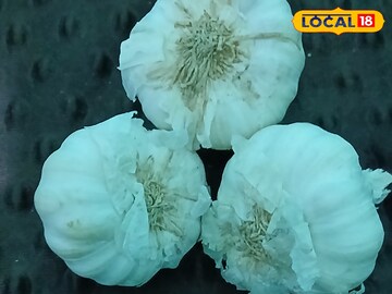 गर्मियों