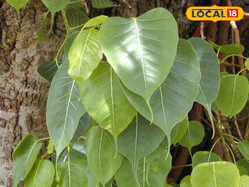 प्रतीकात्मक