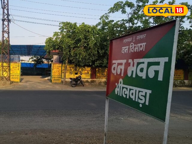 अब वन विभाग को स्थापित नहीं करना होगा, घर पर बैठे ऑनलाइन काम किया जाएगा