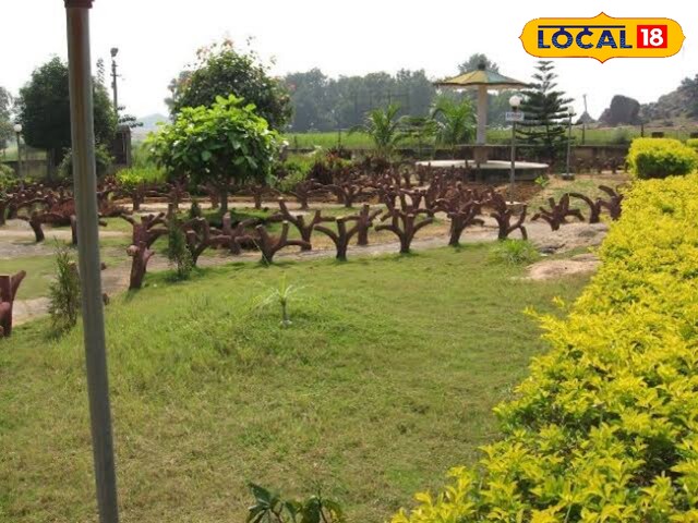 गिरिडीह में बन रहा है झारखंड का पहला मेडिसिन प्लांट, जहां औषधीय से होगा इलाज