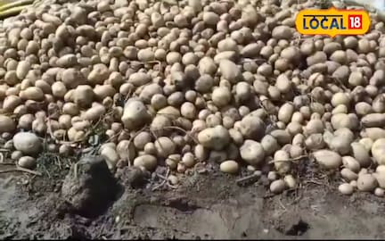 कोल्ड स्टोरेज की सड़े-गले आलू और सब्जियों से बनाई जाएगी कंपोस्ट खाद… यूपी सरकार ने दिया आदेश कोल्ड स्टोरेज की सड़े-गले आलू और सब्जियों से बनाई जाएगी कंपोस्ट खाद… यूपी सरकार ने दिया आदेश