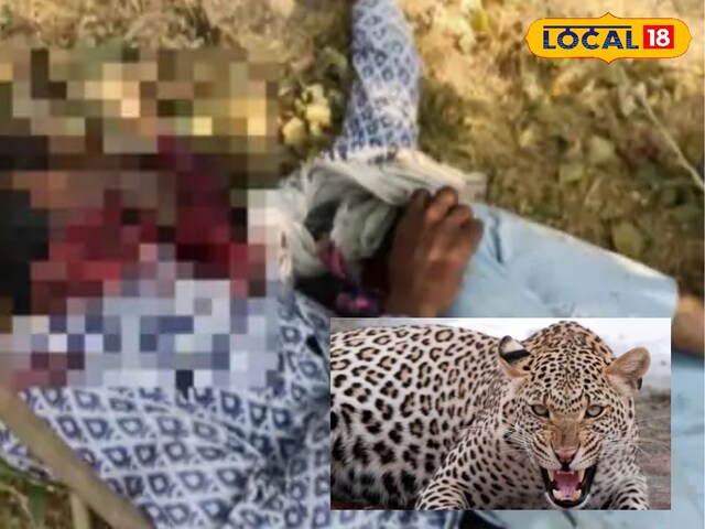 बकरी शिफ्ट में चराई कर रही थी, चरवाहा चराई कर रहा था, खूंखार शिकारी आया, गर्दन को पकड़ा!