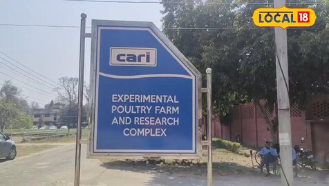 CARI