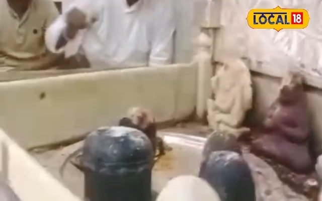 फोटो फोटो