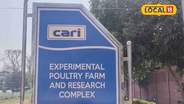 बरेली के इस स्टॉल से मिलेगा हाई-प्रोटीन फ्रेश चिकन और अंडे, हेल्दी खाने वालों बरेली के इस स्टॉल से मिलेगा हाई-प्रोटीन फ्रेश चिकन और अंडे, हेल्दी खाने वालों
