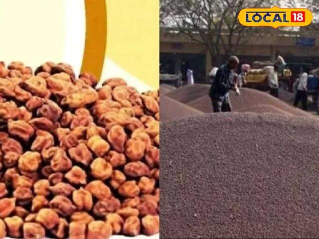 किसानों के लिए अच्छी खबर, एमएसपी पर ग्राम और सरसों की खरीद, दर को जानें