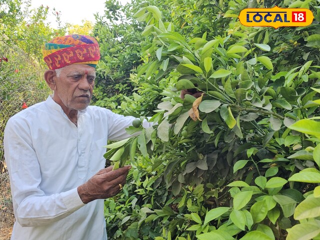 बागवानी