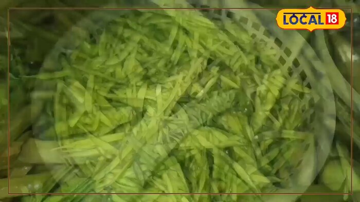 ये फली मोटापे और डायबिटीज में फायदेमंद, इन रोगों के इलाज में भी कारगर ये फली मोटापे और डायबिटीज में फायदेमंद, इन रोगों के इलाज में भी कारगर