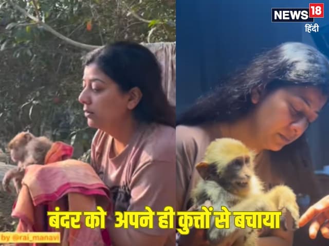 Viral Video: बंदर के पीछे पड़े थे अपने ही पाले हुए कुत्ते, महिला ने बचाई जान! Viral Video: बंदर के पीछे पड़े थे अपने ही पाले हुए कुत्ते, महिला ने बचाई जान!