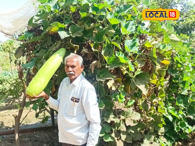 7 साल पहले जिस खेती में घाटा, अब हर महीने उसी से कमा रहे ₹70,000! लेकिन कैसे? 7 साल पहले जिस खेती में घाटा, अब हर महीने उसी से कमा रहे ₹70,000! लेकिन कैसे?