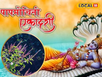 पापमोचनी पापमोचनी