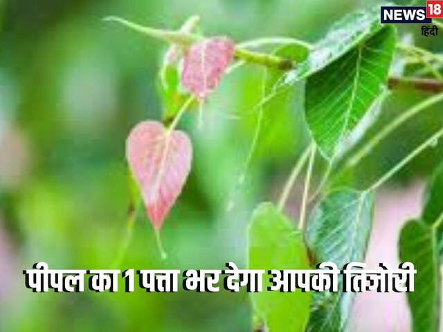 पीपल का एक पत्ता ले आएगा आपके अच्छे दिन, पैसों की नहीं रहेगी कमी!