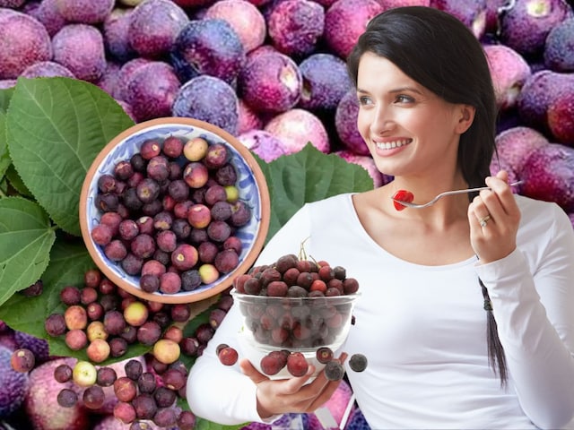 Phalsa-2025-03-00cfd57703aa31bbf3588b3b6b880876.jpg?impolicy=website&width=640&height=480