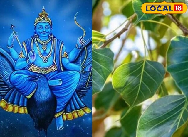 शनि की नजर का नहीं पड़ेगा असर! साढ़ेसाती, ढैय्या, पितृ दोष..सब कष्टों का एक उपाय