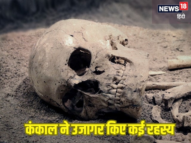 1500 साल पुराने कंकाल को वैज्ञानिक समझ रहे थे आदमी, पर हुआ चौंकाने वाला खुलासा 1500 साल पुराने कंकाल को वैज्ञानिक समझ रहे थे आदमी, पर हुआ चौंकाने वाला खुलासा