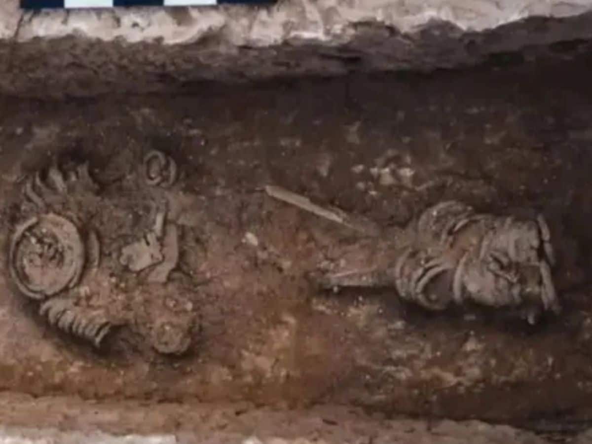 Historical Evidence, ऐतिहासिक साक्ष्य, Archaeological Discovery, पुरातात्विक खोज, Ancient Skeleton, प्राचीन कंकाल, Ascetic Life, तपस्वी जीवन, weird news, bizarre news, shocking news, world, अजब गजब, अजीबोगरीब खबर, जरा हटके,