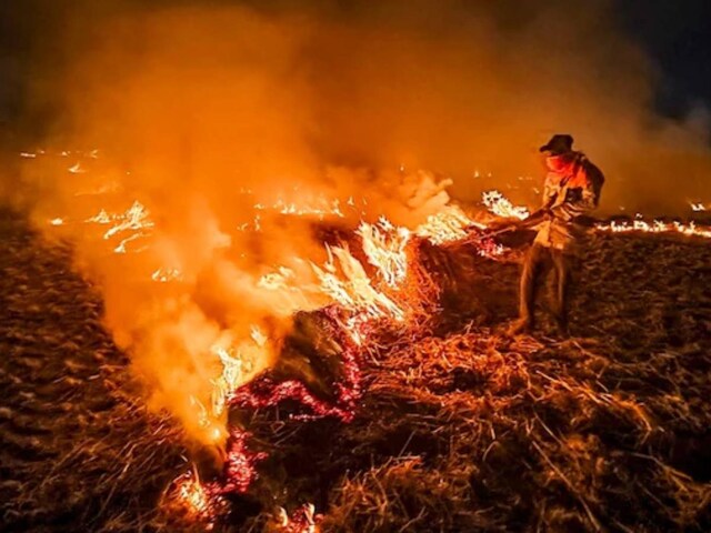 खेतों में जल रही थी पराली, तभी आई तेज दुर्गध, सच खुला तो हर कोई रह गया दंग खेतों में जल रही थी पराली, तभी आई तेज दुर्गध, सच खुला तो हर कोई रह गया दंग