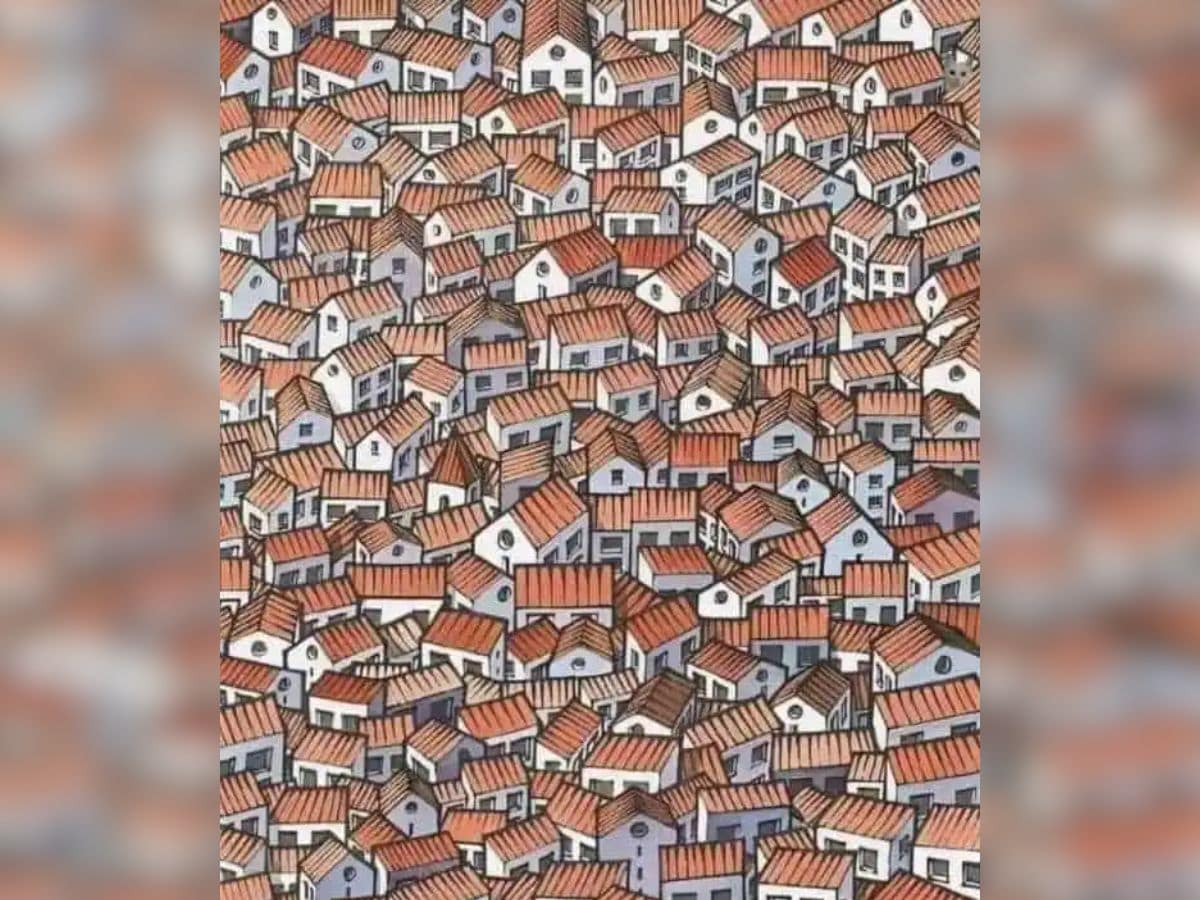 Can you spot a cat in this picture, Spot the cat in this image within 8 seconds, Spot The Object Puzzle, Optical illusion, can you spot a cat, can you spot a cat within 7 seconds, Optical illusions, Viral Puzzle, Trending puzzle