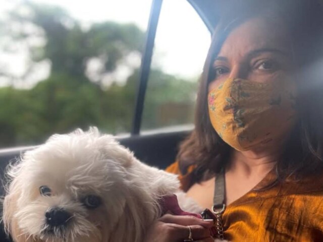 ट्रेन में बिजनेसमैन को दे बैठीं दिल, परिवार के खिलाफ जाकर रचाई शादी