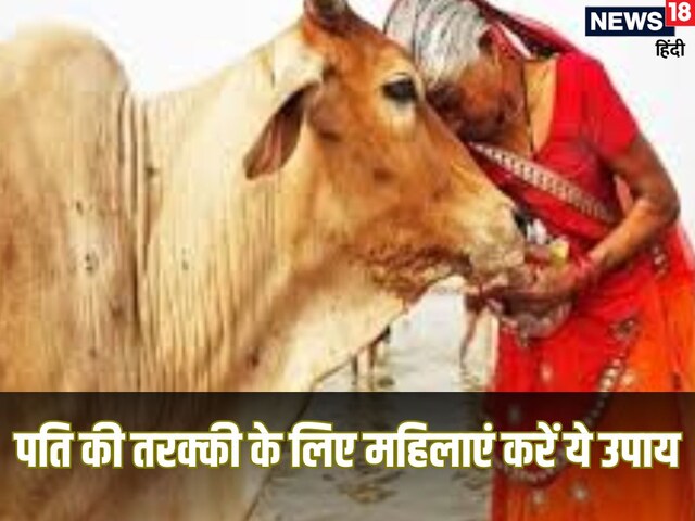 घर में इन नियमों का महिलाएं करें पालन, फिर देखें लक्ष्मी की बनेगी कृपा