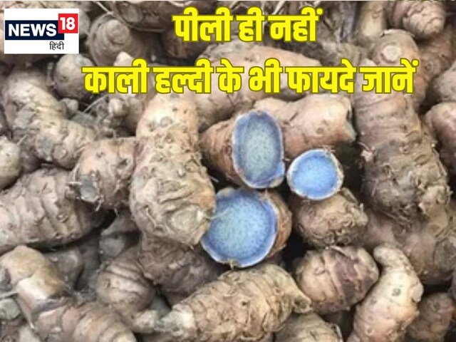 12 महीने मिलने वाला ये औषधीय मसाला 'विष नाशक', घाव भरे तुरंत, जानें 8 फायदे