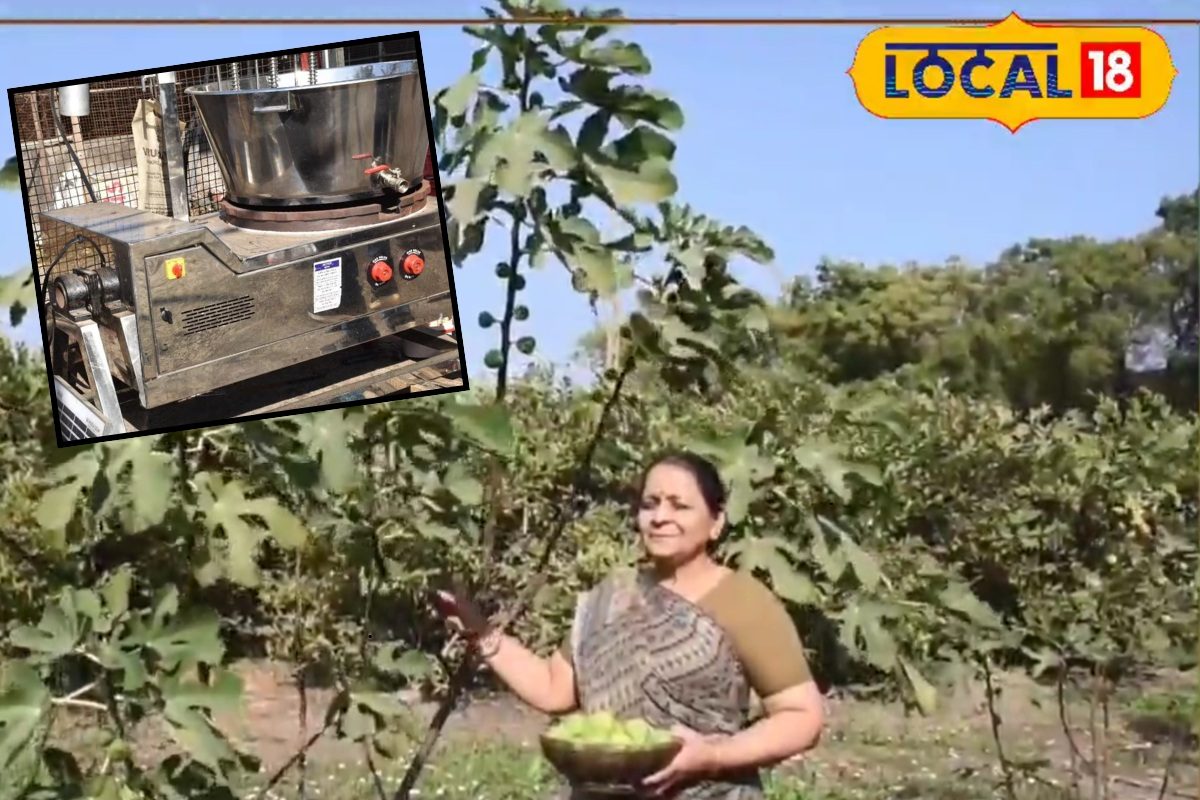अमरूद की खेती नहीं, बल्कि Jam बनाकर बेच रहे...मुनाफा जानकर हैरान हो जाएंगे