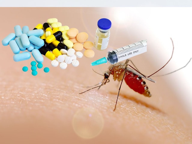 Vaccine or medicine? What are the remedies to avoid chikungunya in India?