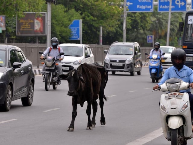 खेत में हल्का हो रहा था शख्स, सामने आया 'वो', देखते ही लोगों ने बुलाया पुलिस