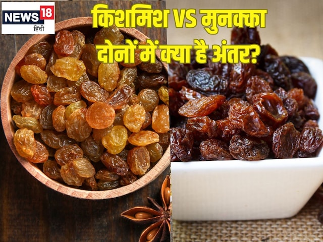 क्या किशमिश और मुनक्का दोनों एक है? 90% लोगों को नहीं पता होगा ये अंतर, जानें सेहत के लिए कौन अधिक फायदेमंद क्या किशमिश और मुनक्का दोनों एक है? 90% लोगों को नहीं पता होगा ये अंतर, जानें सेहत के लिए कौन अधिक फायदेमंद