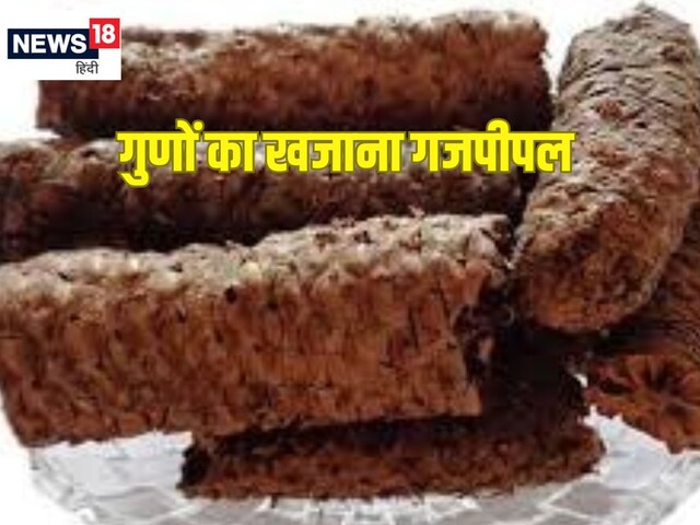 क्या पिप्पली और गजपिप्पली एक ही है? जानें दोनों में अंतर और फायदे