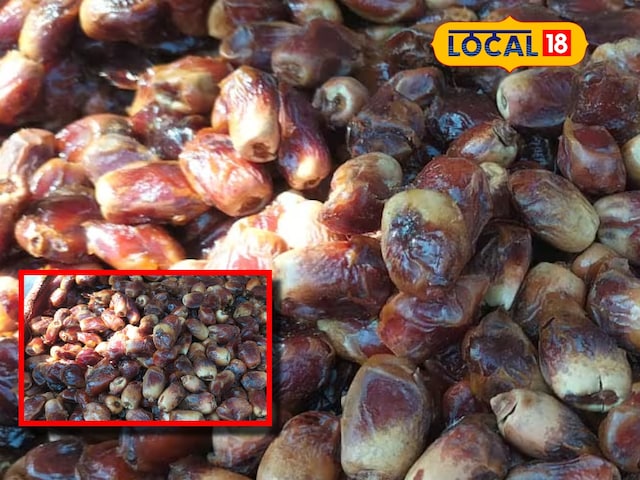 Holi of Jamnagar is incomplete without dates! Know the secret of health hidden behind it